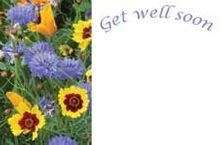 Get Well Soon - Blue/Yellow Flowers Greeting Cards (x50)