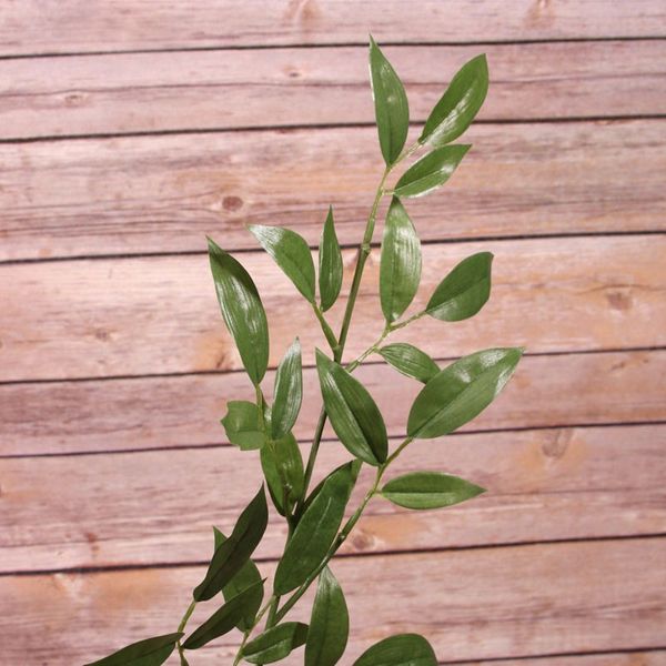 Ruscus Spray