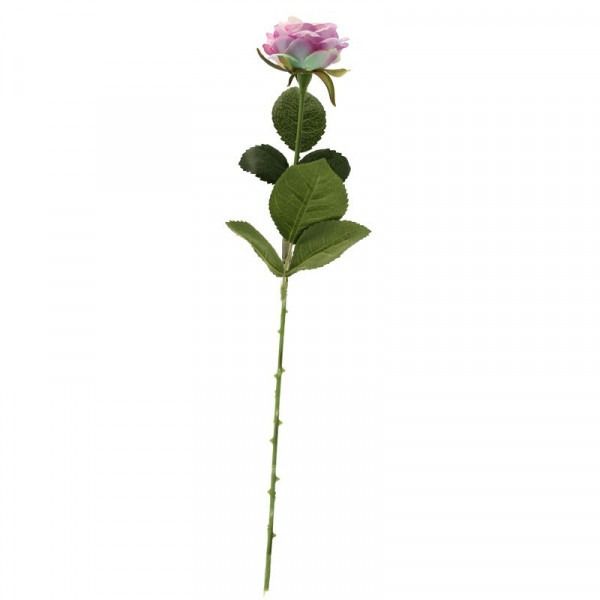 rose stem