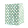 Sage Polka Dot Hand Tie Bag