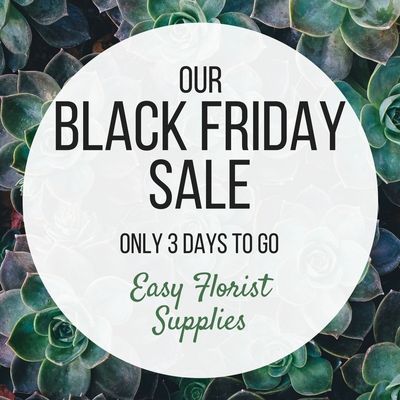 black friday sale blog