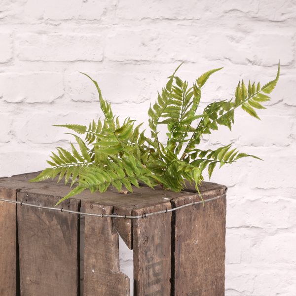 Plastic Leather Fern