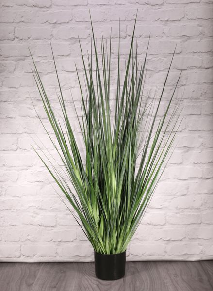 Potted Flat Grass