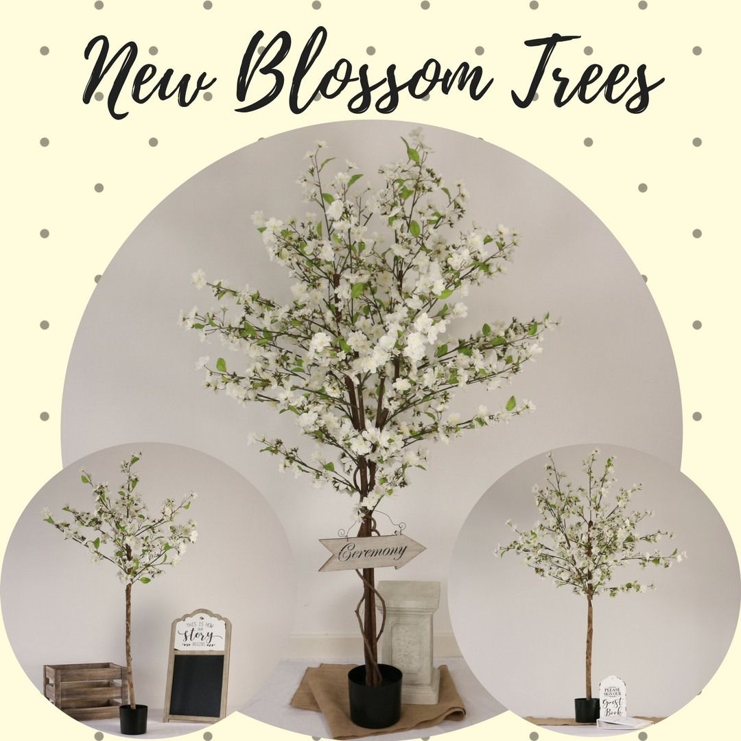 New Blossom Trees