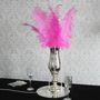 Fuchsia Ostrich Feathers