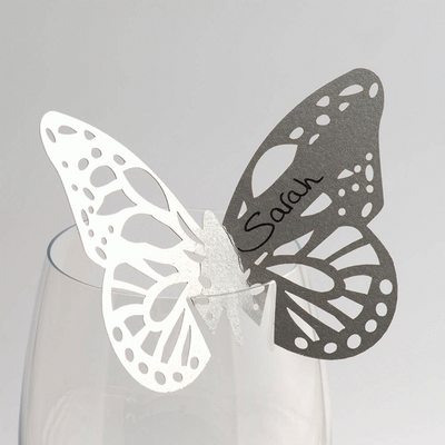 Lace Butterfly Glass Place Cards - Silver 10pk