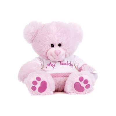 16 Inch Pink Thomas Bear With Tshirt