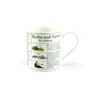 Bone China Herbs & Spices Gift Boxed Mug  by Leonardo Collection