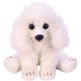 Yomiko Sitting White Poodle Dog