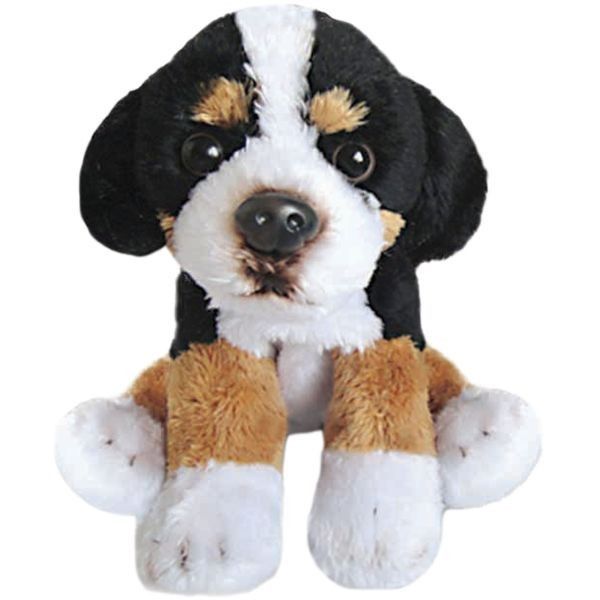 Bernese mountain deals dog supplies